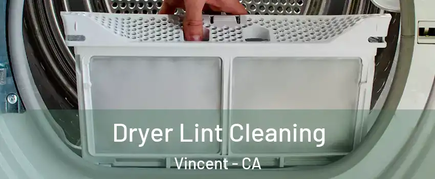  Dryer Lint Cleaning Vincent - CA