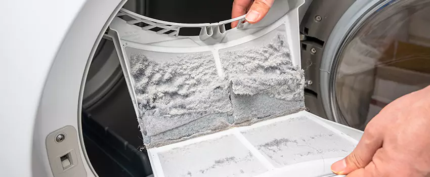 Best Dryer Lint Removal Company in Vincent, California