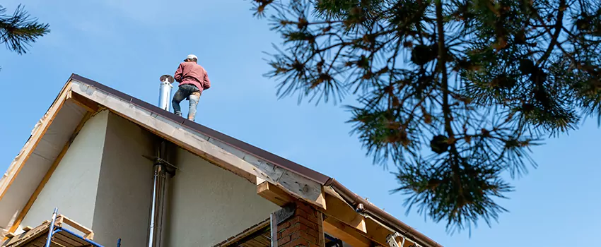 Birds Removal Contractors from Chimney in Vincent, CA